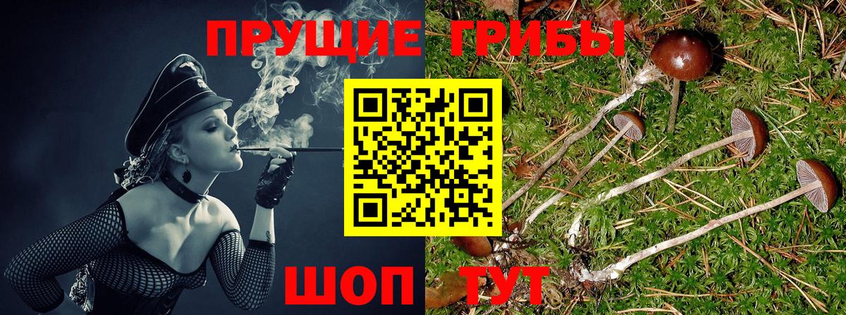 Псилоцибиновые грибы мухоморы Отрадное