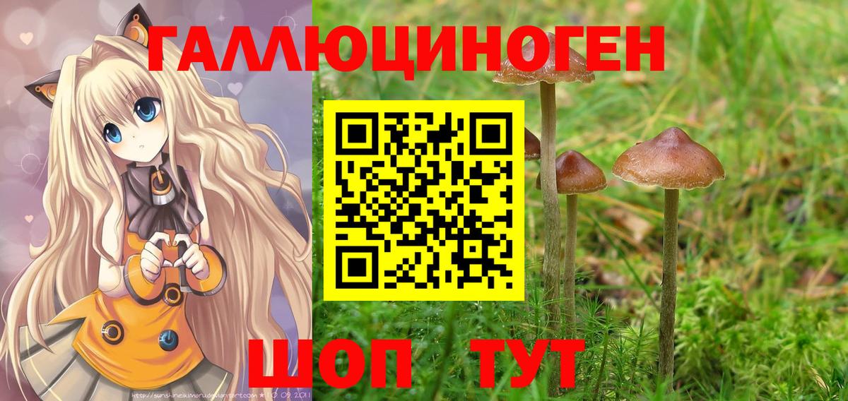 Отрадное  Псилоцибиновые грибы мухоморы  Вход с VPN  Галлюциногенные грибы ЛСД 